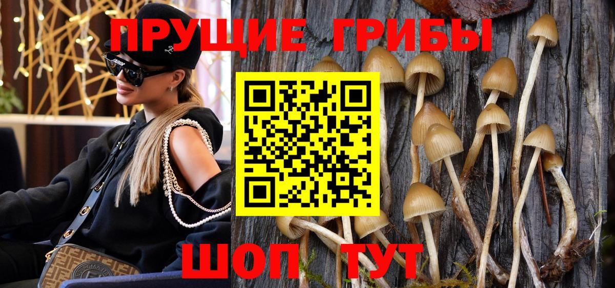 Горячий Ключ  Псилоцибиновые грибы GOLDEN TEACHER  Псилоцибиновые грибы мицелий  Вход с VPN 