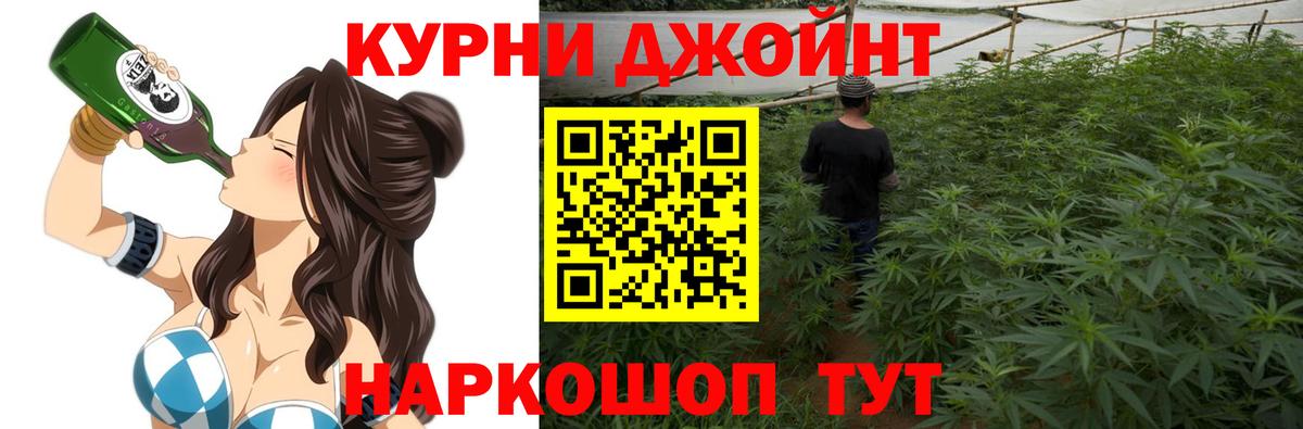 Канабис планчик Горячий Ключ